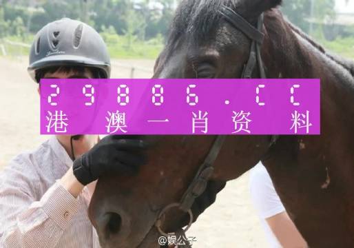 澳门一肖一码与中厂，词语释义与落实解释澳门一肖一码一一中厂;-词语释义解释落实