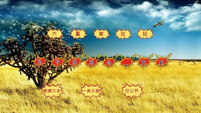 澳门4949今晚开奖，全面解析与落实的重要性澳门4949今晚开奖;-全面释义解释落实
