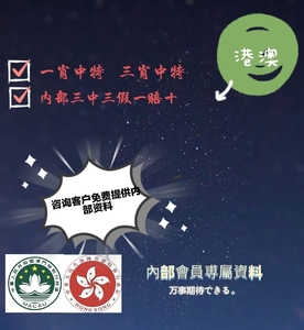 香港特马资料王中王，精选解析、解释与落实香港特马资料王中王;-精选解析解释落实