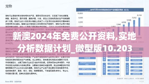 关于新澳全年资料的全面释义与落实策略探讨——迈向更加繁荣的2025年2025年新澳全年资料;-全面释义解释落实