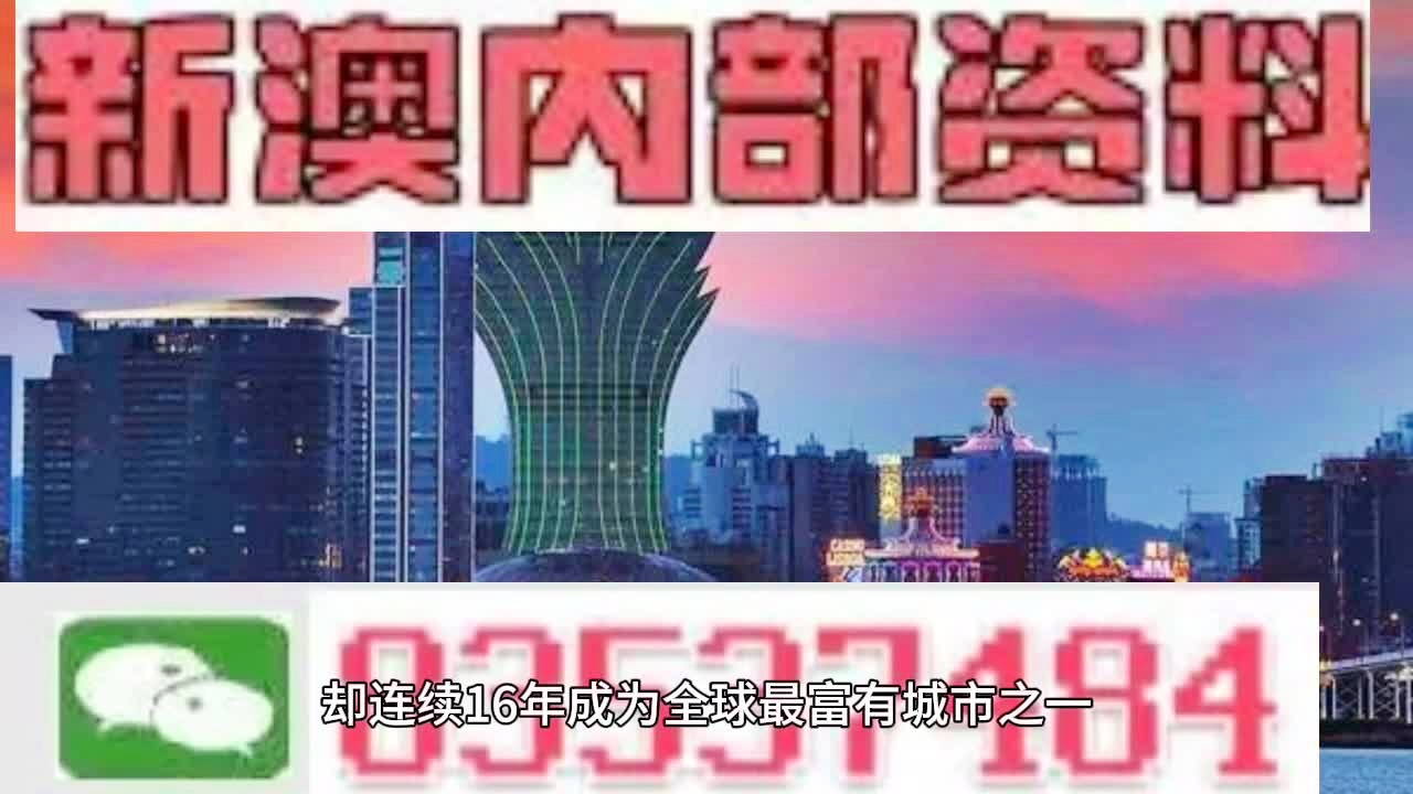 新澳精准24码解析与落实策略，未来之路的指引2025新澳精准24码;-精选解析解释落实