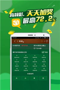 新澳门新开奖结果查询，精选解析、解释与落实新澳门新开奖结果查询;-精选解析解释落实