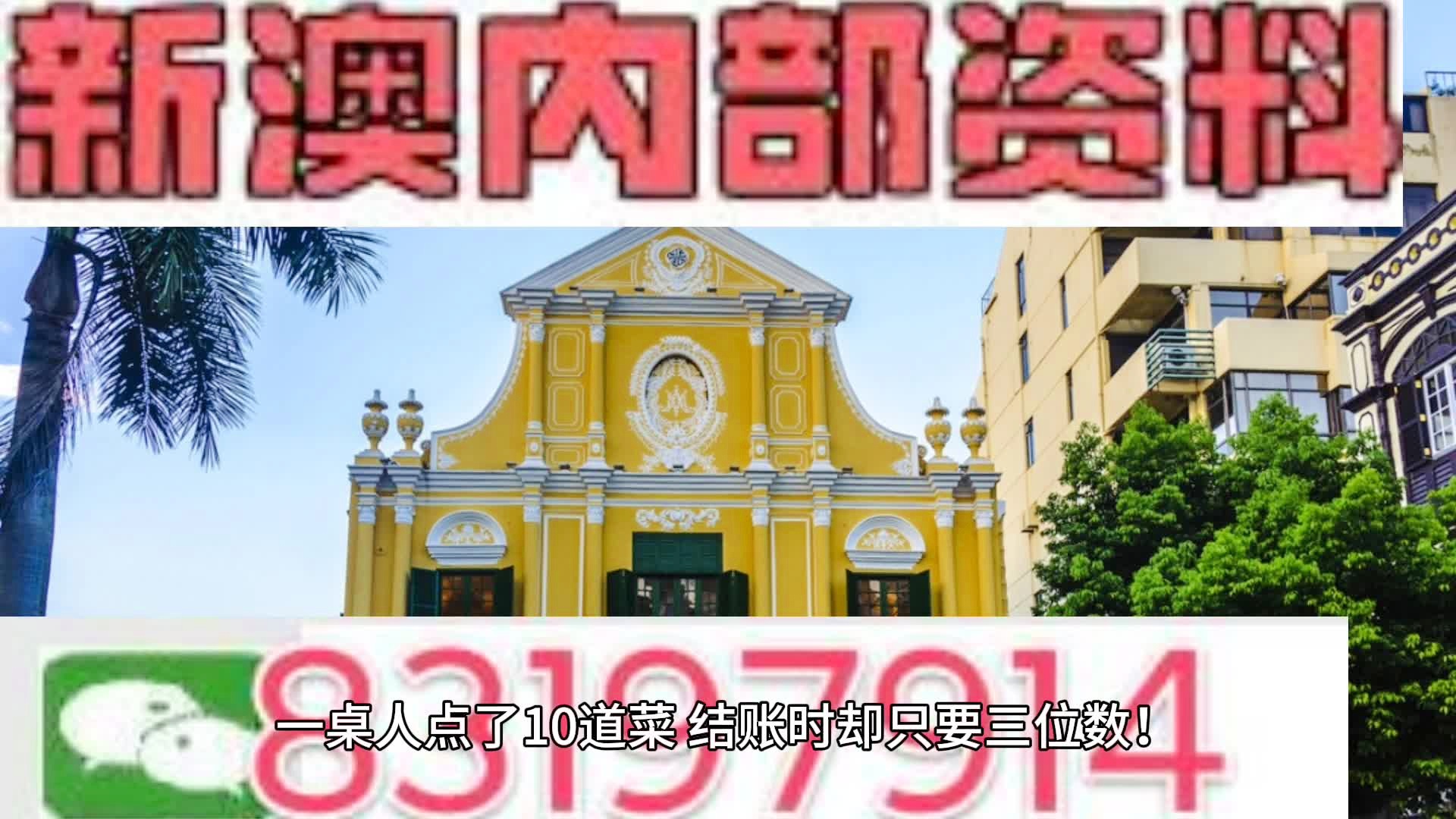新澳门资料免费大全，全面释义、解释与落实新澳门资料免费大全;-全面释义解释落实