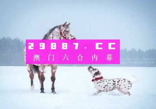 澳门一肖一码，揭秘精准预测背后的故事与实用释义澳门一肖一码100%精准的背景故事;-实用释义解释落实