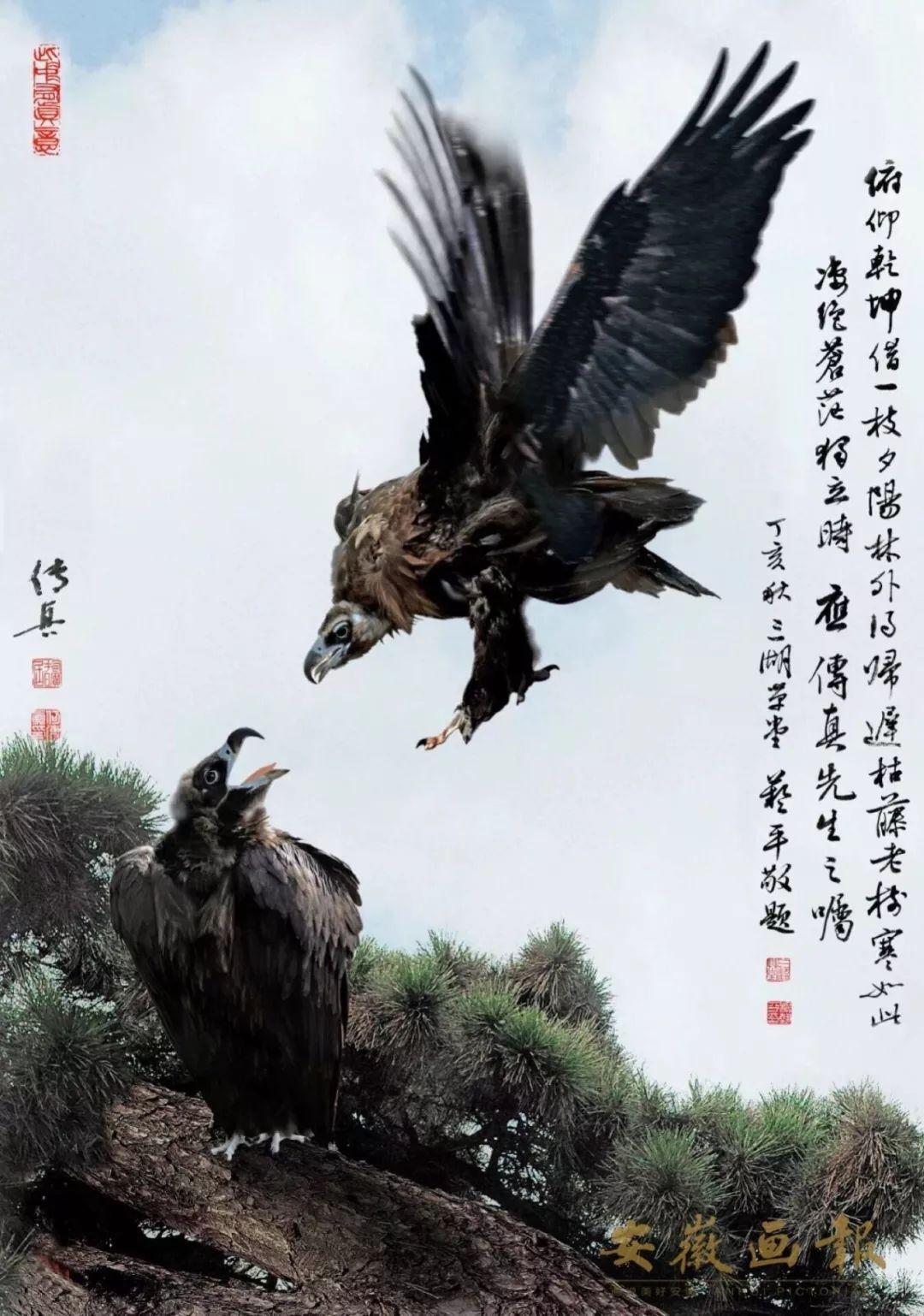 澳门传真资料查询，实用释义、解释与落实澳门传真资料查询;-实用释义解释落实