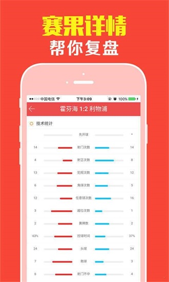 新澳门王中王，实用释义解释落实的未来展望（2024年）2024年新澳门王中王;-实用释义解释落实