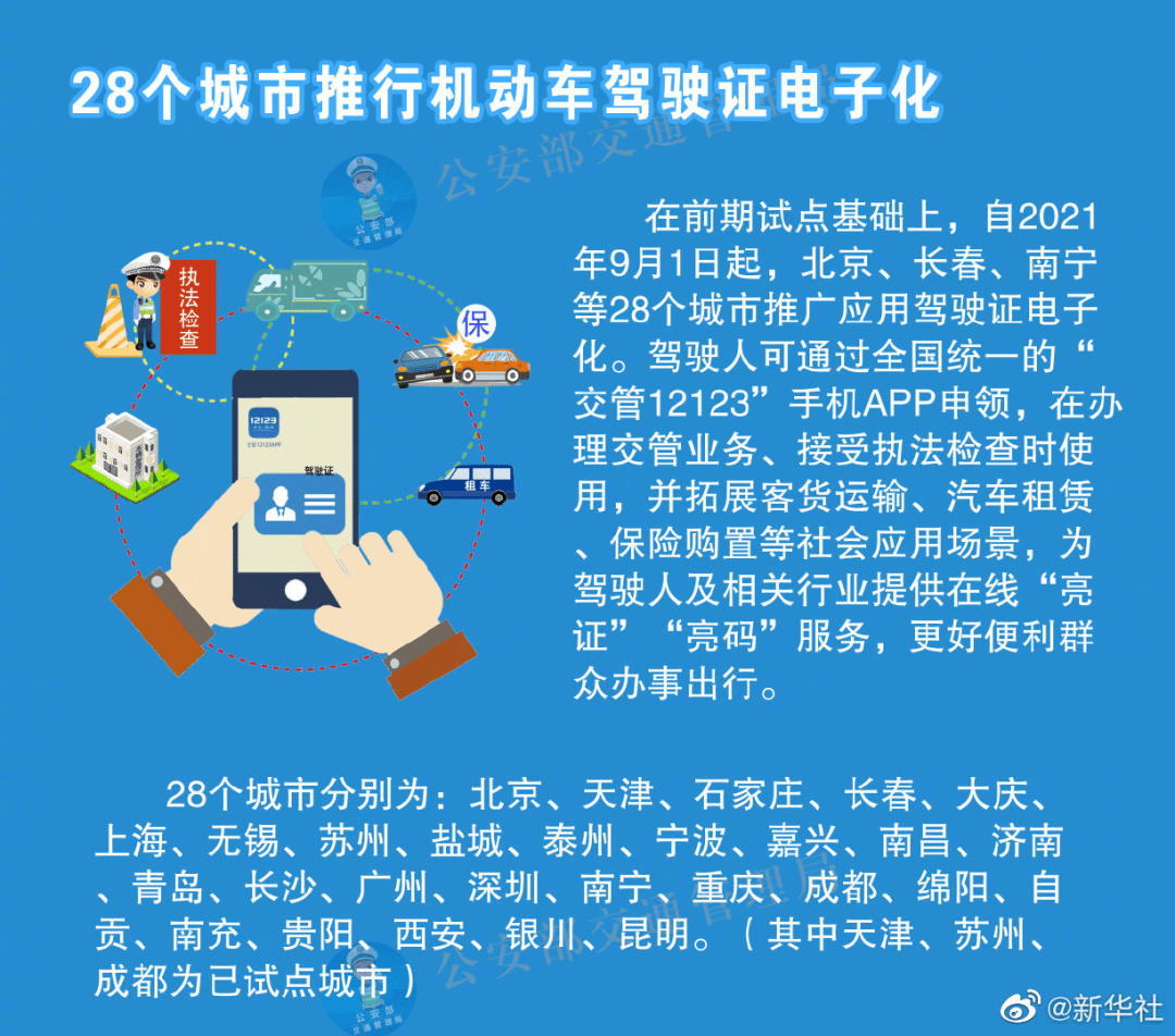 澳门精准解析展望，解析解释与落实策略至2025年2025新澳门精准;-精选解析解释落实