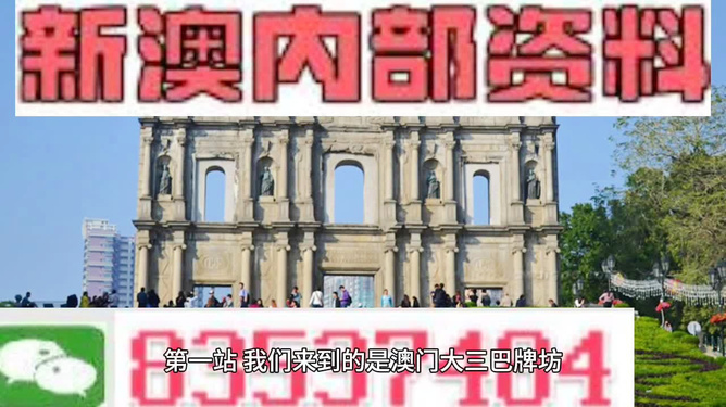 澳门精准正版免费资料，解析、解释与落实策略2025澳门精准正版免费资料;-精选解析解释落实